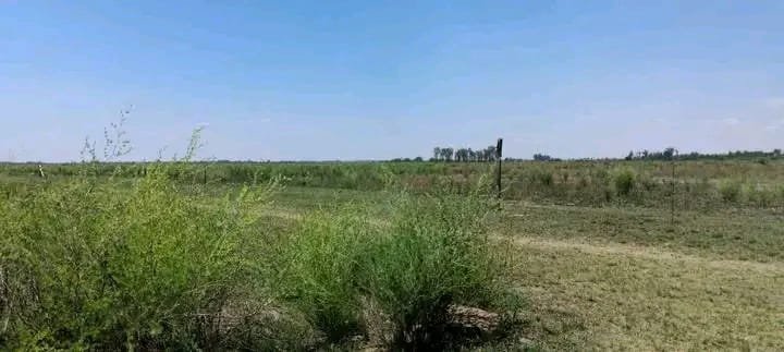 Property for Sale